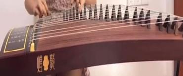 A person plays a guzheng, a traditional Chinese string instrument, showcasing its intricate strings and wooden body during a performance.