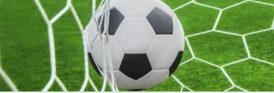 A soccer ball is entering the net, symbolizing a goal on a lush green field. This highlights a pivotal moment in the game.