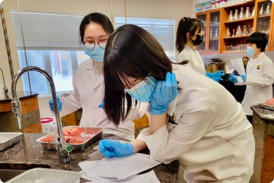 Students in lab coats and masks work diligently in a laboratory, examining materials and taking notes, illustrating hands-on learning in a scientific environment.